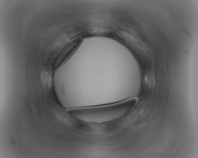 X0000114421348200911061614
