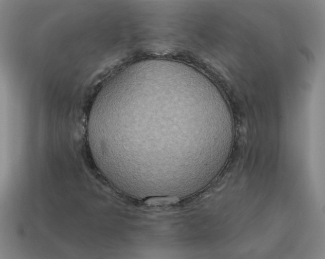X0000114421349200911061614