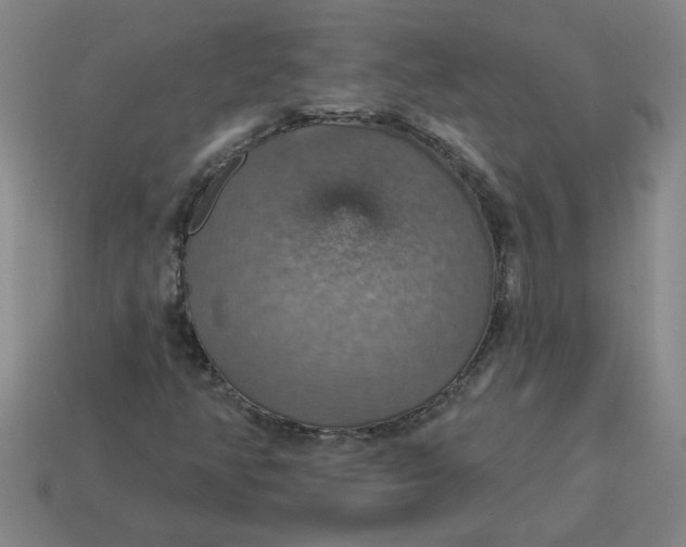 X0000114421350200911061614