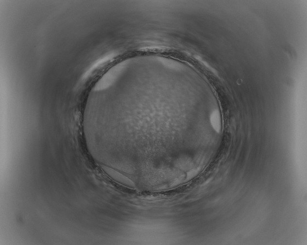 X0000114421351200911061614