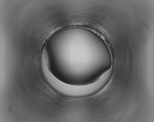 X0000114421353200911061614