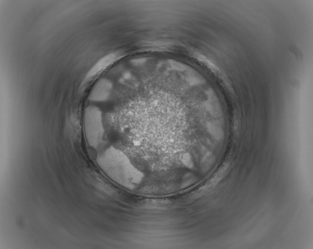 X0000114421354200911061614