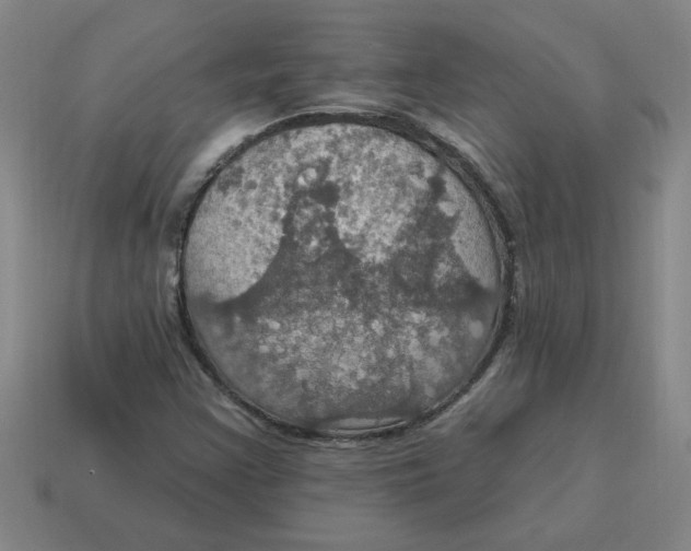 X0000114421355200911061614
