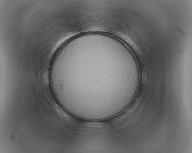 X0000114421356200911061614