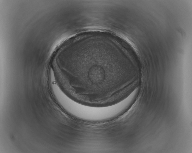 X0000114421357200911061614