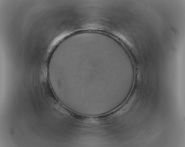 X0000114421358200911061614