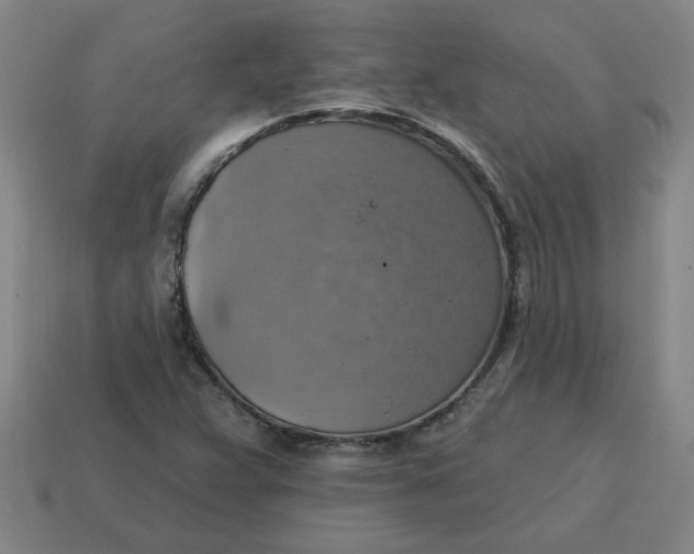 X0000114421359200911061614