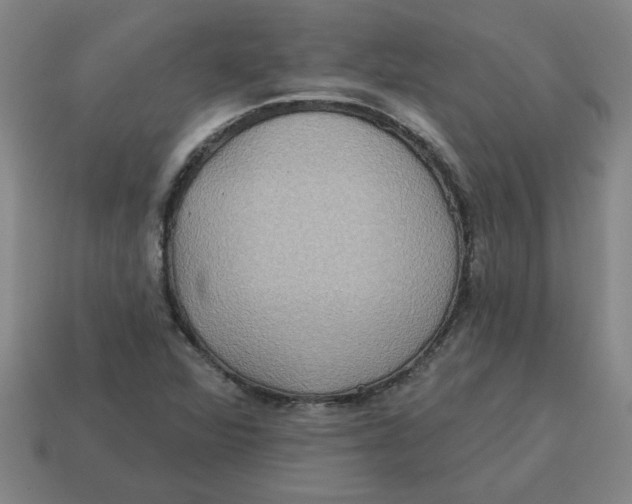 X0000114421360200911061614