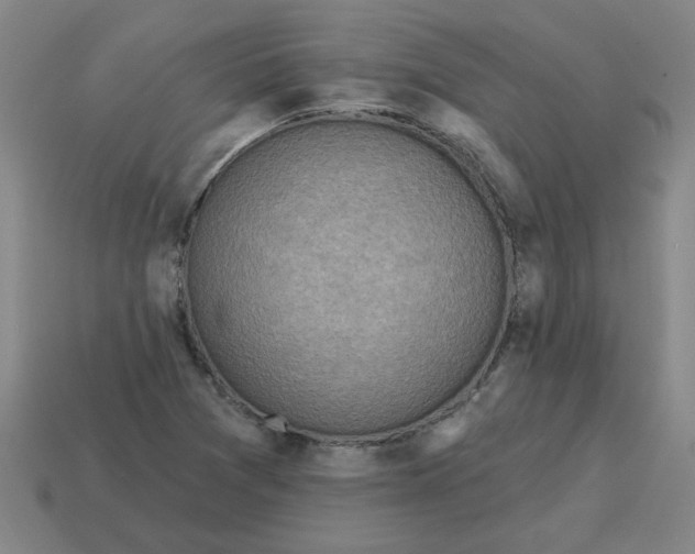 X0000114421361200911061614