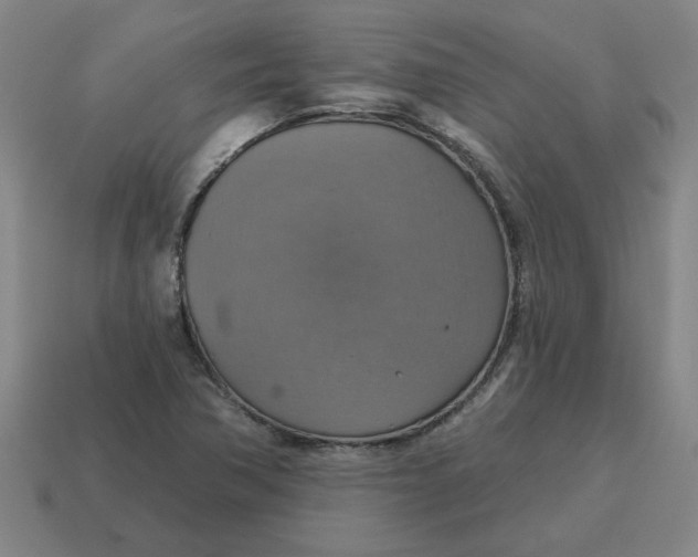 X0000114421362200911061614