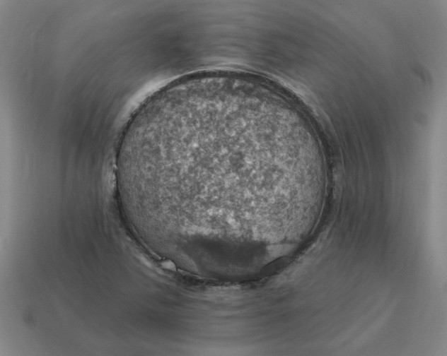 X0000114421363200911061614