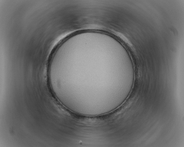 X0000114421364200911061614