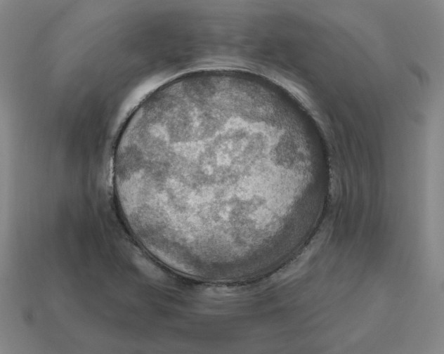 X0000114421366200911061614