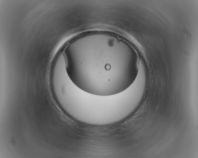 X0000114421368200911061614