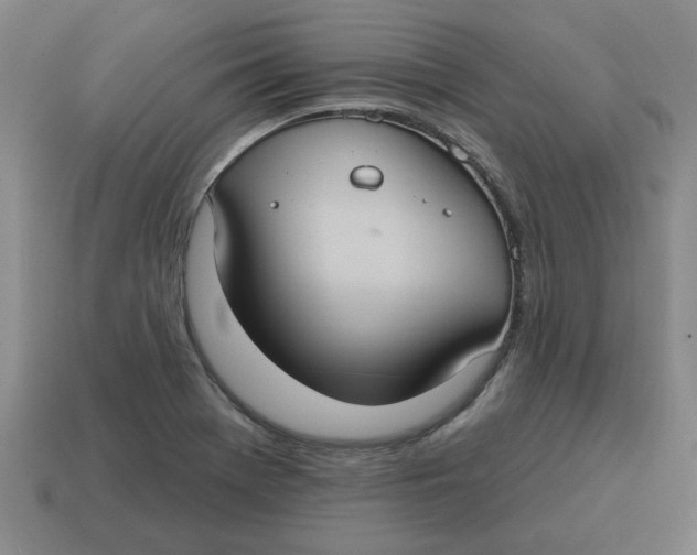 X0000114421369200911061614