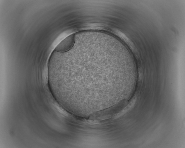X0000114421370200911061614