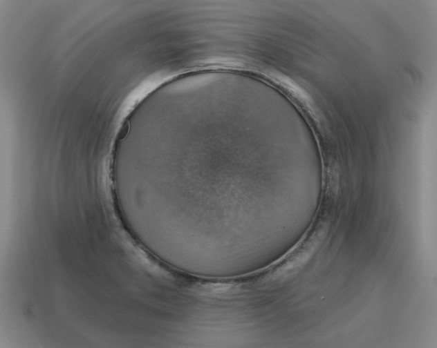 X0000114421373200911061614