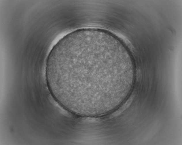 X0000114421374200911061614