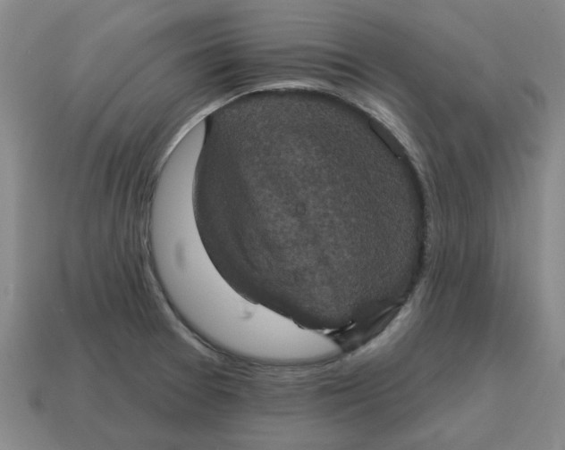 X0000114421377200911061614