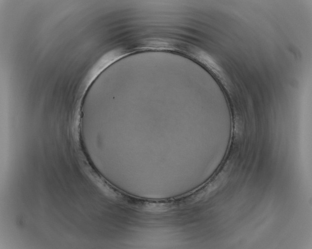 X0000114421378200911061614