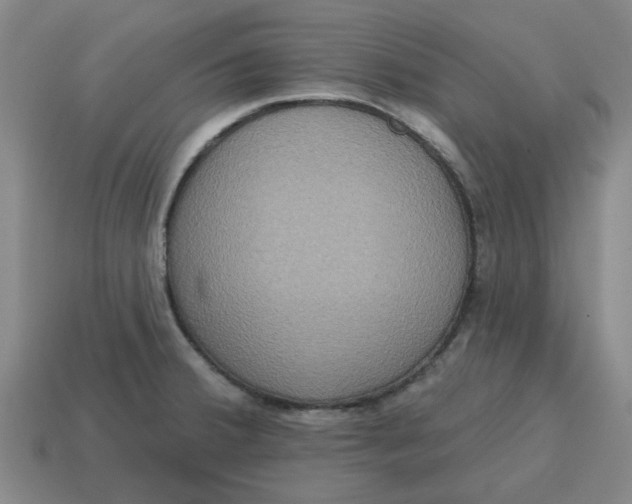 X0000114421380200911061613