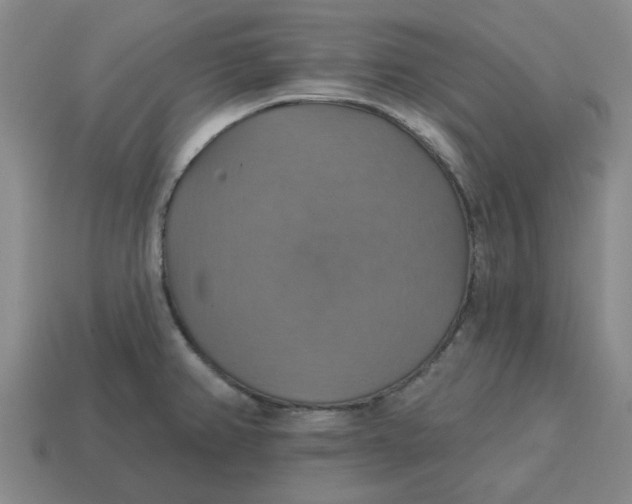 X0000114421382200911061613