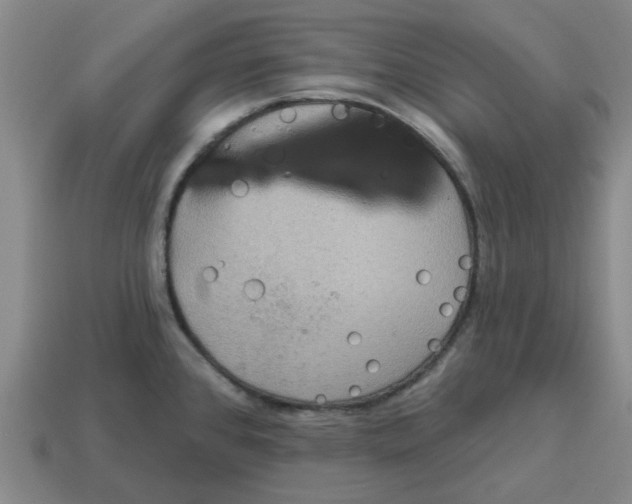 X0000114421384200911061613