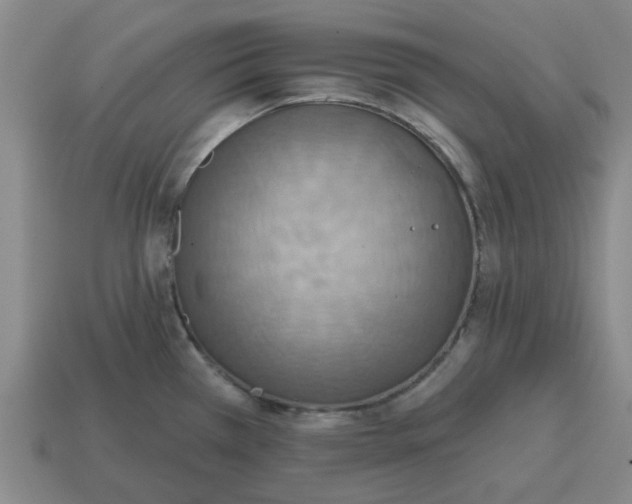 X0000114421385200911061613