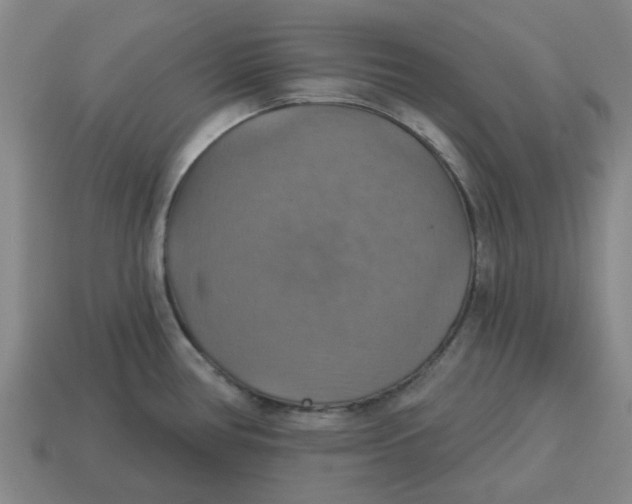 X0000114421386200911061613