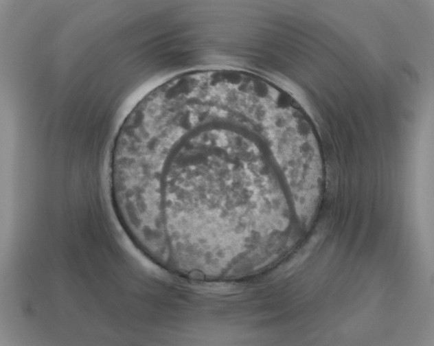 X0000114421387200911061613