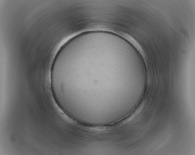 X0000114421388200911061613
