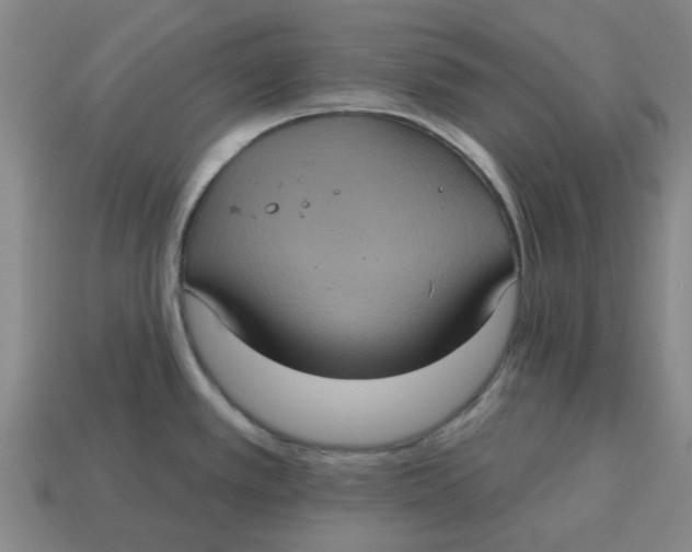 X0000114421389200911061613