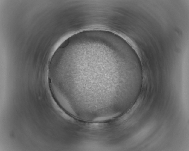 X0000114421390200911061613