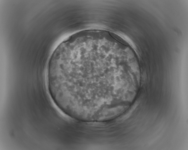 X0000114421391200911061613