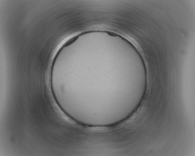 X0000114421392200911061613