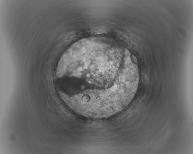 X0000114421393200911061613