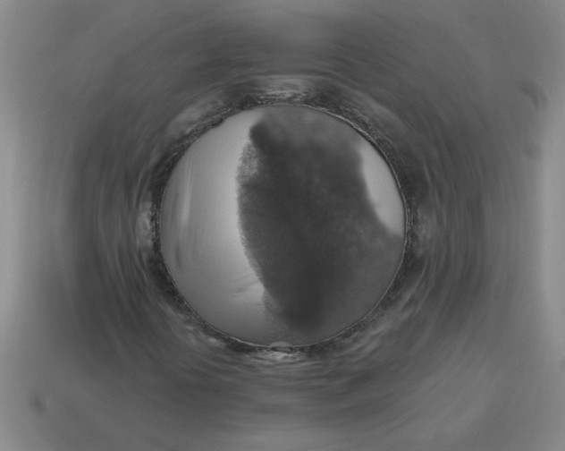 X0000114421394200911061613