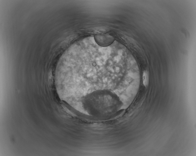 X0000114421395200911061613