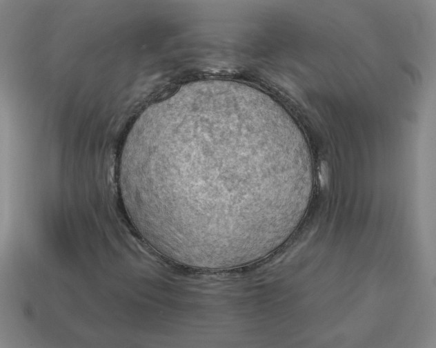 X0000114421396200911061613