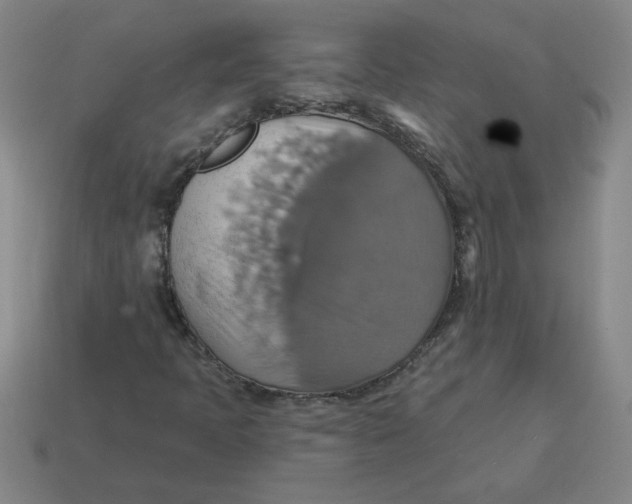 X0000114421397200911061613