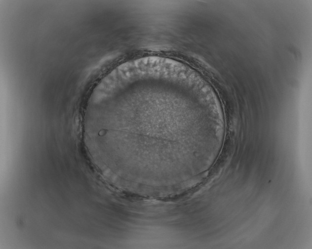 X0000114421398200911061613