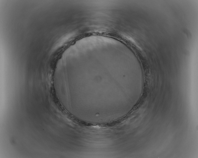 X0000114421399200911061613