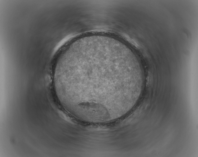 X0000114421400200911061613