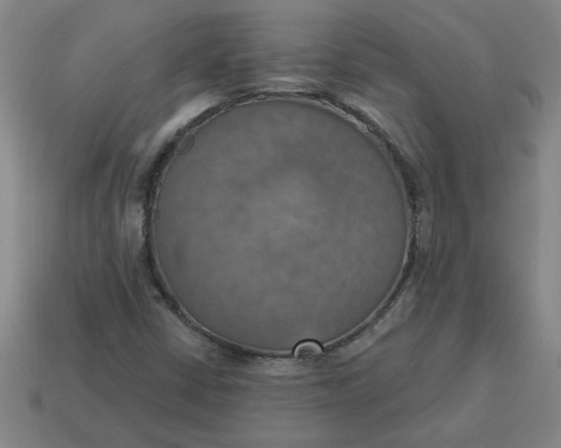 X0000114421402200911061613
