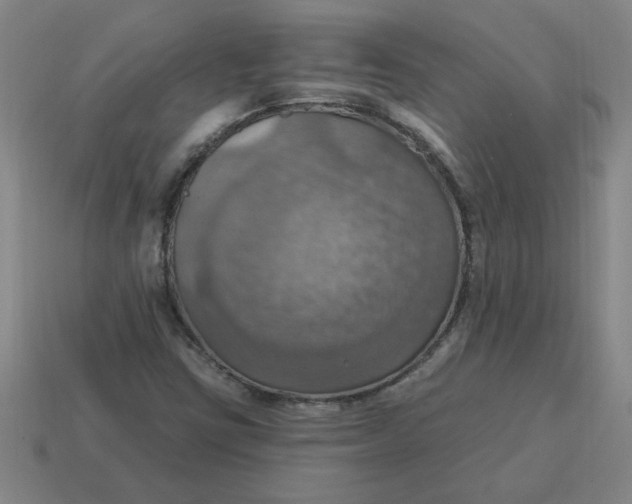 X0000114421403200911061613