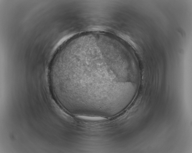 X0000114421404200911061613