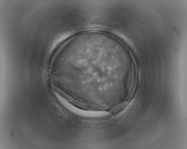 X0000114421405200911061613