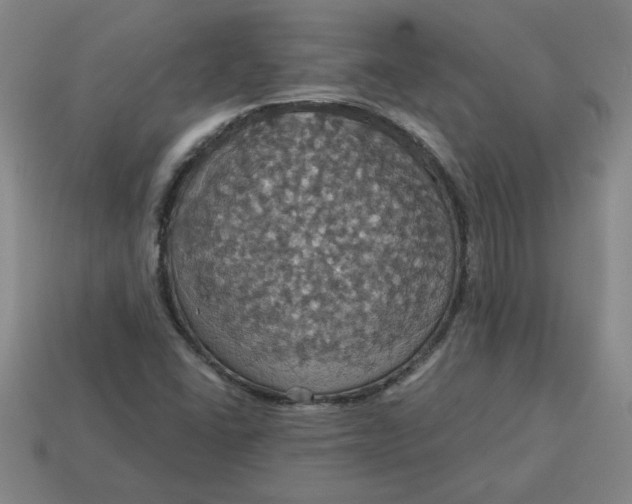 X0000114421406200911061613