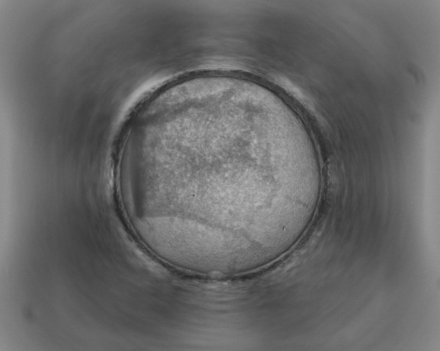 X0000114421408200911061613