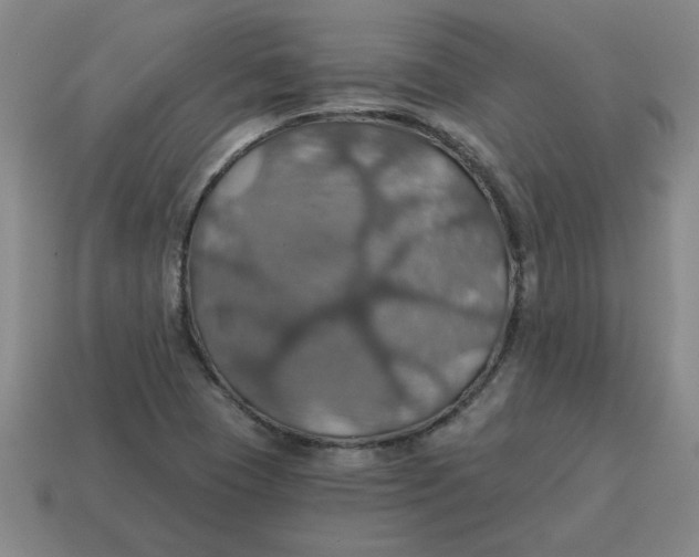 X0000114421409200911061613